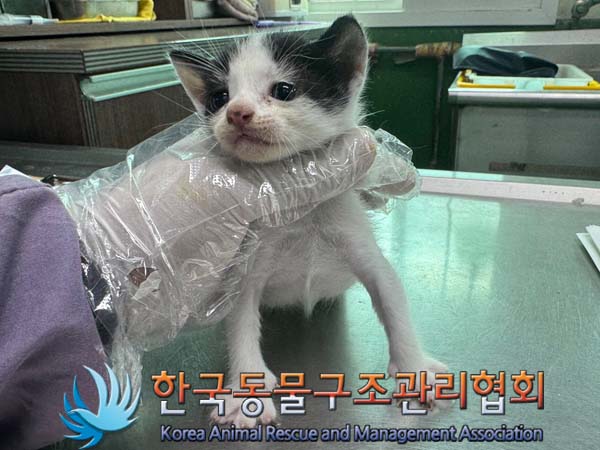 종료(자연사) 한국…